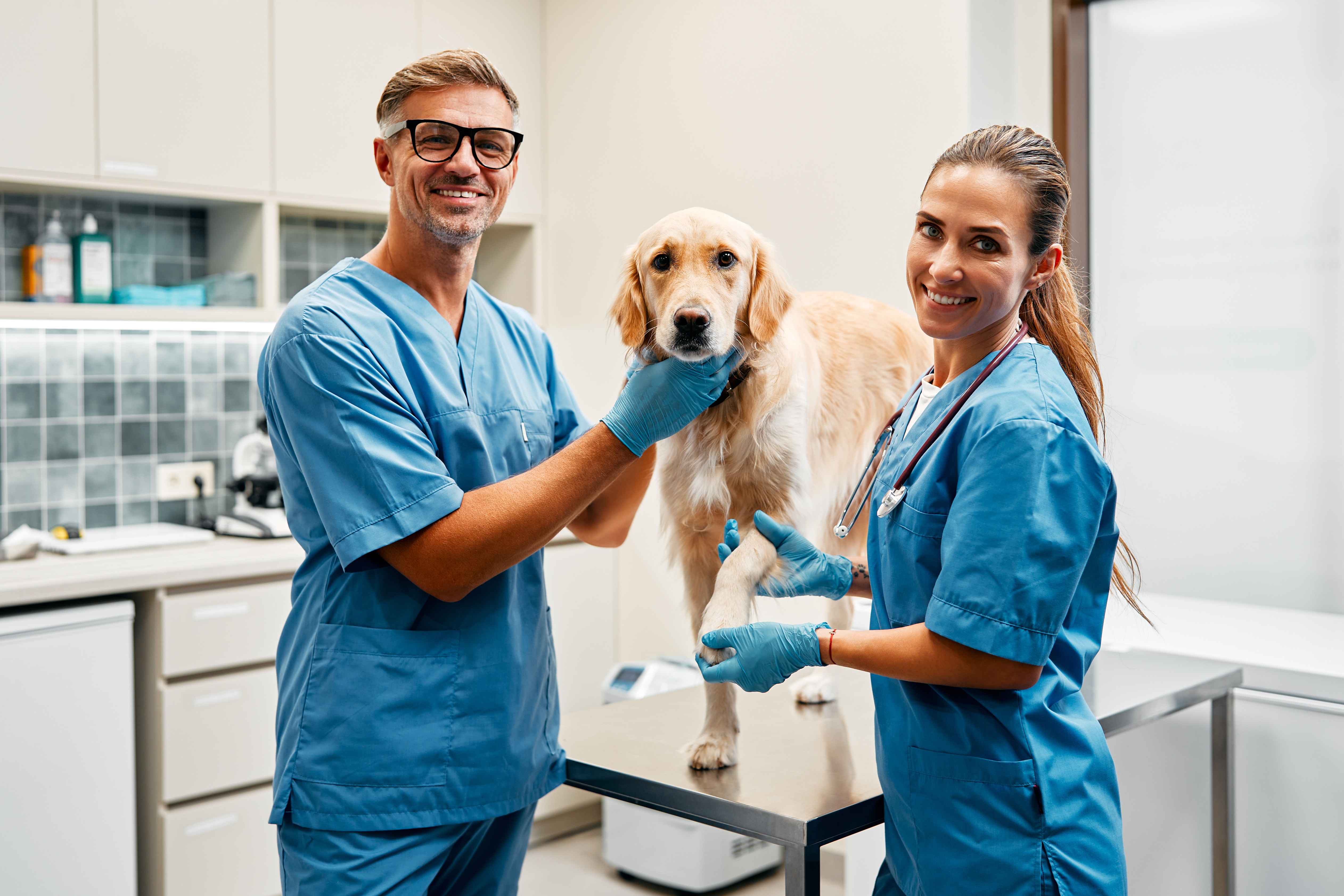 Two veterinarians with a golden retriever