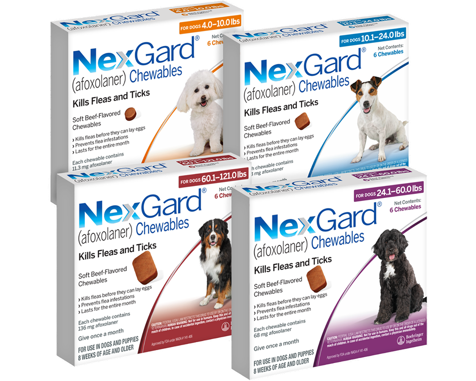 NexGard chewable pack for dogs