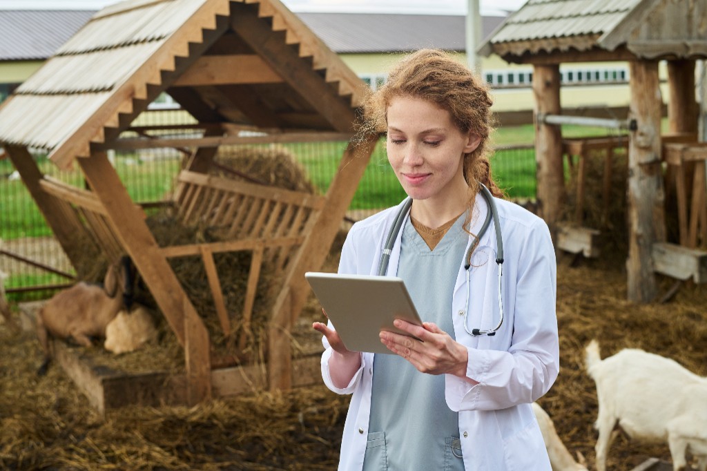 Veterinarian holding a tablet on a farm